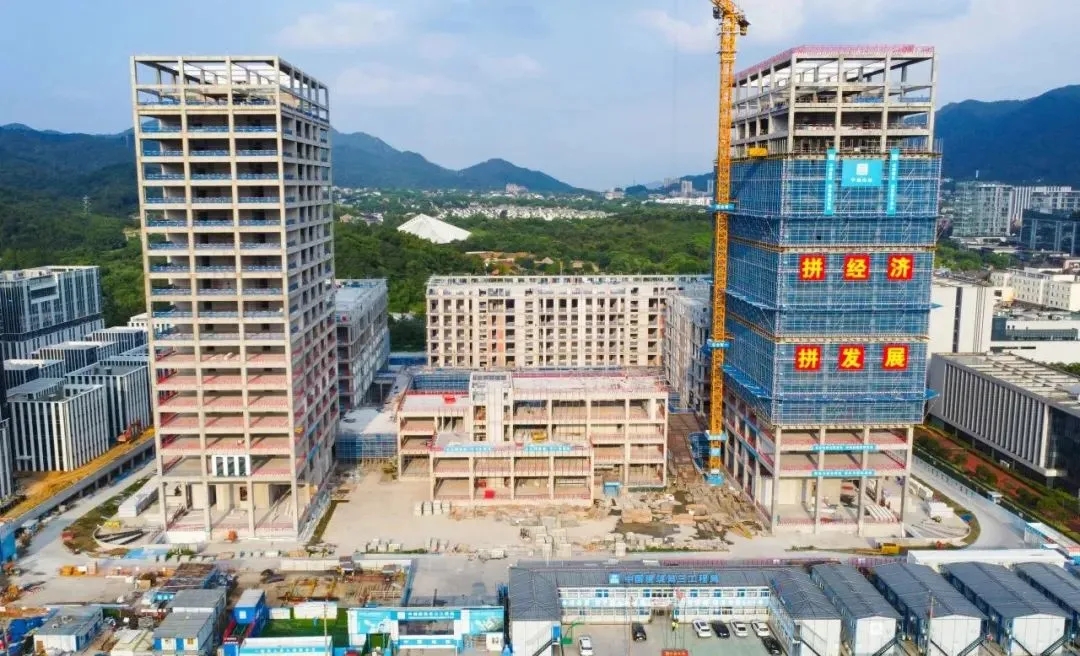 555.webp.jpg 555.webp.jpg